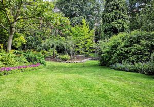 Optimiser l'expérience du jardin à Athee-sur-Cher